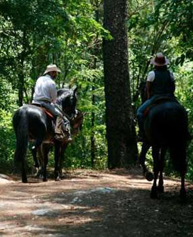 Parque Tecolote Mazamitla