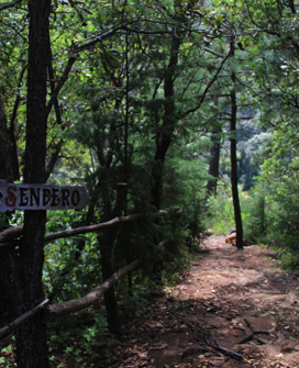 Parque Tecolote Mazamitla